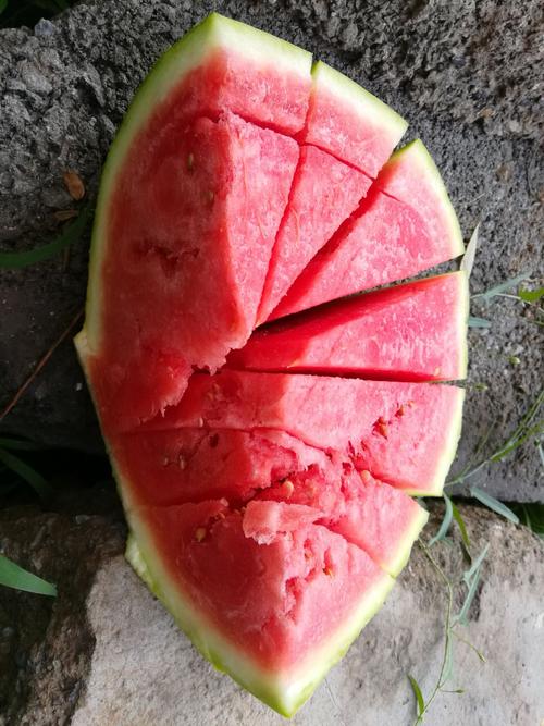 澳门管家婆100%精准香港和把西瓜扔鱼塘喂鱼与把西瓜扔鱼塘喂鱼好吗