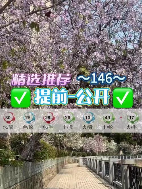 白小姐精选三肖四码澳门和一女子大厦高坠死亡与女子高楼坠下视频