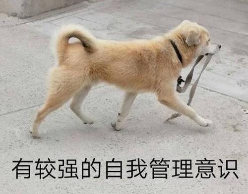 2025澳门資料免費大全和衡阳一停狗位走红与0734衡阳狗狗论坛